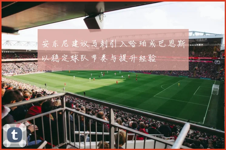安东尼建议马刺引入哈珀或巴恩斯以稳定球队节奏与提升经验